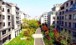 如皋美庐爆料最新消息,揭秘神秘事件背后的真相